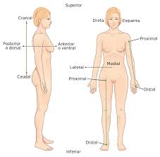 File Directional Terms Ca Svg Wikimedia Commons