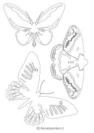 Sagome di farfalle per decorare creaconlacarta. 42 Sagome Di Farfalle Da Colorare E Ritagliare Progetti Artistici Per Bambini Ritagli Sagome