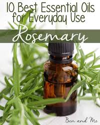 Throughout the years, it has been linked to a broad range of benefits. Everyday Uses For Rosemary Essential Oil