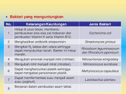 Unit 4 Monera Ppt Download