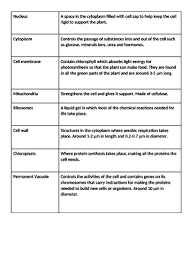 Maybe you would like to learn more about one of these? Topic 1 Cell Structure Plant And Animal Cells Aqa Trilogy Teaching Resources