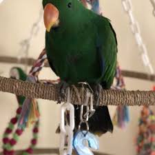 We would like to show you a description here but the site won't allow us. Exotic Birds Of Denver 22 Reviews Pet Stores 4796 S Broadway Englewood Co Phone Number