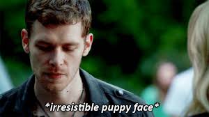 Share the best gifs now >>>. 15 Reasons To Love Klaus Mikaelson Pure Fandom