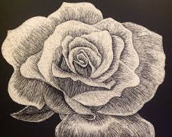 Rose Scratchboard