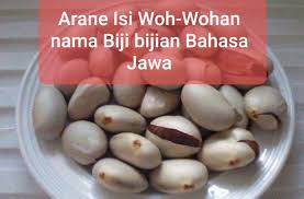 Check spelling or type a new query. 19 Arane Isi Woh Wohan Nama Biji Buahan Dalam Bahasa Jawa Intanpari Com
