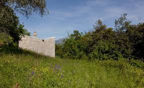 Pietro Lingeri Isola Comacina Tipologia A Garten Eden Garten Eden