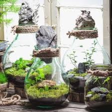 How to achieve the look plants. 10 Easy Closed Terrarium Plants Sprouts And Stems