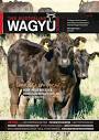 Issue 77 | The Australian Wagyu Update, April 2021 by Australian ...