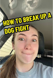 How to Safely Get Your Dogs Unstuck from Each Other