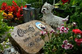 Eine besonders beliebte und schöne möglichkeit ist die. Haustier Gestorben Den Hund Im Garten Bestatten Ist Das Eigentlich Erlaubt Kolner Stadt Anzeiger