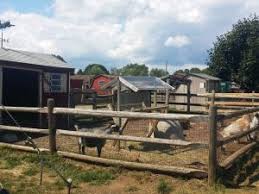 I was a shy kid who avoided a lot of unnecessary social interaction, but if someone was having a birthday party with petting. Petting Zoos Now Open Near Jersey City