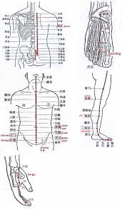 acupuncture and moxibustion for female infertility