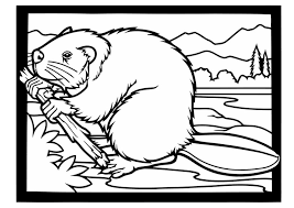 The original format for whitepages was a p. 8 Beaver Coloring Pages Free Printable Coloring Pages
