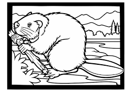 Beaver pictures are fun when you can see the woods and the scenery. 8 Beaver Coloring Pages Free Printable Coloring Pages