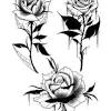 Select a category below and click the pictures or designs to enlarge. 3