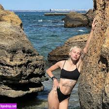 Polinwagen - Fapello