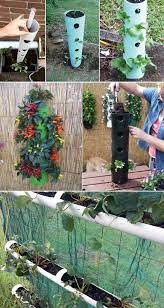 Pin On Garden Ideas Projects