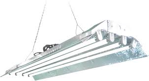 We did not find results for: Amazon Com Durolux T5 Ho Grow Light 4 Foot 4 Lamps Dl844 Fluorescent Hydroponic Indoor Fixture Ul Listed Bloom Veg Daisy Chain With Bulbs Patio Lawn Garden