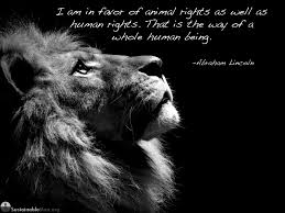 Animal abuse is an issue that many people feel strongly about. 27 Inspirational Quotes With Animal Pictures Swan Quote