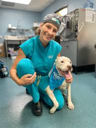 The pet doctors of sherman oaks is at the pet doctors of sherman oaks. Simon Veterinary Surgical