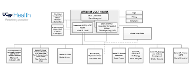 28 Paradigmatic Stanford University Organization Chart