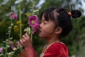 Families Gallery — DHP