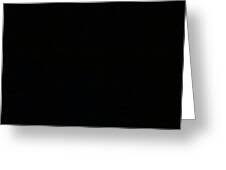 Image result for 241543903