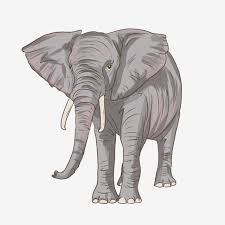 Elephant head animal nature zoo mammal safari wildlife africa wild. Cartoon Elephant S Nose Elephant Clipart Elephant Elephant Head Png Transparent Clipart Image And Psd File For Free Download Cartoon Elephant Elephant Elephant Head