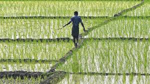 Right person, of bc to woosa free usa meet other 186 countries. What Has Brought India S Farmers To The Streets Bbc News