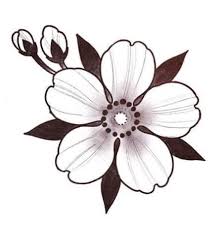 Epingle Par Christophe Jaketo Sur Flower Blossom En 2020 Dessin Tatouage Japonais Fleur De Cerisier
