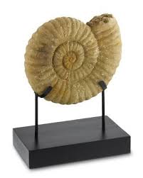 We did not find results for: Ammonite On Stand Beach Chic Decor Decor Decorative Accessories