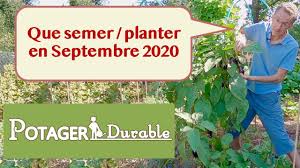 Découvrez la liste complète des semis et plantations possibles au mois de septembre au potager et les entretiens à apporter aux cultures potagères en le mot de la fin : Que Semer Ou Planter En Septembre Au Potager Potagerdurable Com