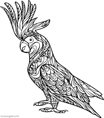 Birds are animals that are part of the fauna of the whole world, there is a great variety of birds, and all of them are characterized by their body covered with feathers and wings to be able to fly, although not all of them can do it. Cockatiel Coloring Pages Coloringall