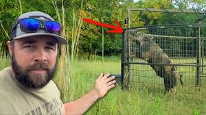 Caught the Big Hog I've Been After!, AFH T-Shirts, Hoodies, and Hats! ,  https://www.armsfamilyhomestead.com, Follow us