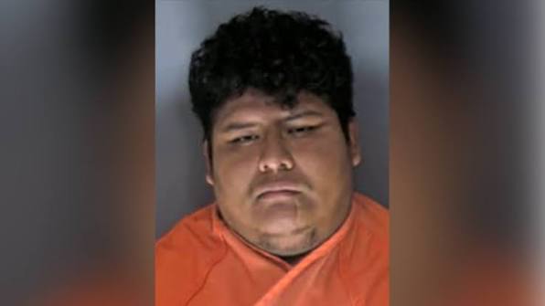 South Carolina man charged in dog dragging death - WJCL
