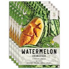 Image result for Citrullus lanatus