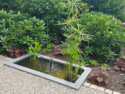 Referenzen Slink Ideen Mit Wasser Teichpflanzen Wasser Im Garten Wasserbecken Garten