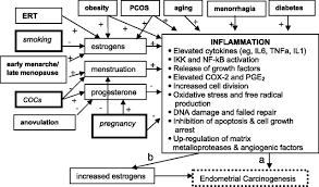Hot flashes (sudden warmth that spreads over the body). Inflammation And Endometrial Cancer A Hypothesis Cancer Epidemiology Biomarkers Prevention