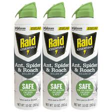 Raid Ant Roach Killer Spray Spray Kills Cockroaches Ants Silverfish Water  Bugs Palmetto Bug Carpet Beetle Earwig Spider Lady Beetle Black Widow Spider  Crickets ... 1.09 Lb Clear 12 Carton - Office Depot