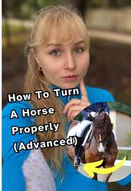 Horse Riding Tips for Beginners