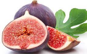 Jenis buah tinnya adalah tin ara figs yellow ksa.perbanyakan. 5 Jenis Pokok Tiin Paling Sesuai Untuk Tanaman Di Malaysia Sentiasa Panas