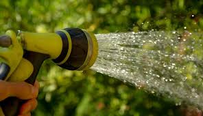 The rod moves easily through wet soil and then stops, or becomes difficult to push, when it reaches. Watering Lawn At Night