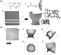 Soto y manrique la viña de ayer cebreros. Photothermally Reprogrammable Buckling Of Nanocomposite Gel Sheets Hauser 2015 Angewandte Chemie International Edition Wiley Online Library