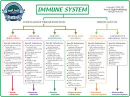 biological terrain for the immune system chart