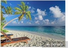 Online since 1997, with many thousands of satisfied customers, 123posters is the safe, reliable place to shop for posters. Tropical Beach Poster Pixers We Live To Change