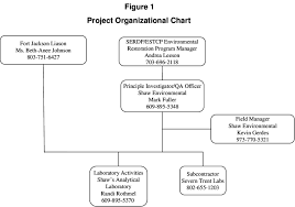 project organizational chart download scientific diagram