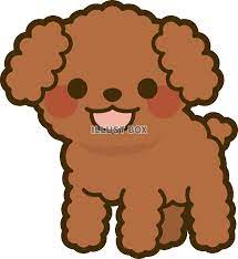 犬・トイプードル レッド：イラスト無料 さん
