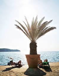 Hier der schöne strand svetilnik in izola an der strände und bademöglichkeiten. Slowenien Urlaub Alle Tipps Auf Einen Blick Brigitte De