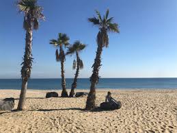 The city was founded in 729 bc by chalcidians (settlers from chalcis in the greek island of euboea) from naxos, 50 miles (80 km) north. Catania A City Made Of Lava Mom The Muse