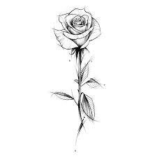 20 Ideas Ebook White Rose Tattoos Rose Tattoo Design Rose Drawing Tattoo